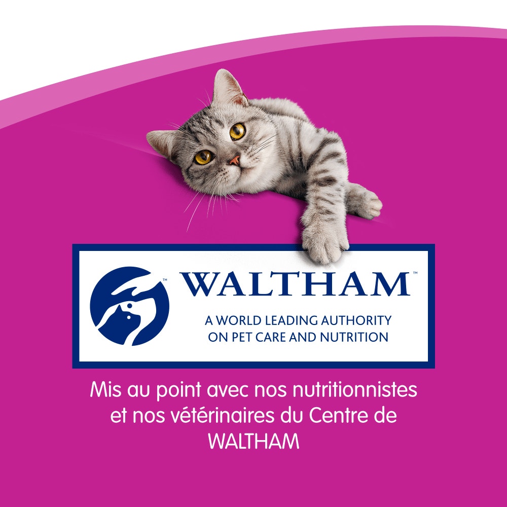 WHISKAS® Sticks Au Saumon Friandises Pour Chat Adulte 3 x 6g - 6