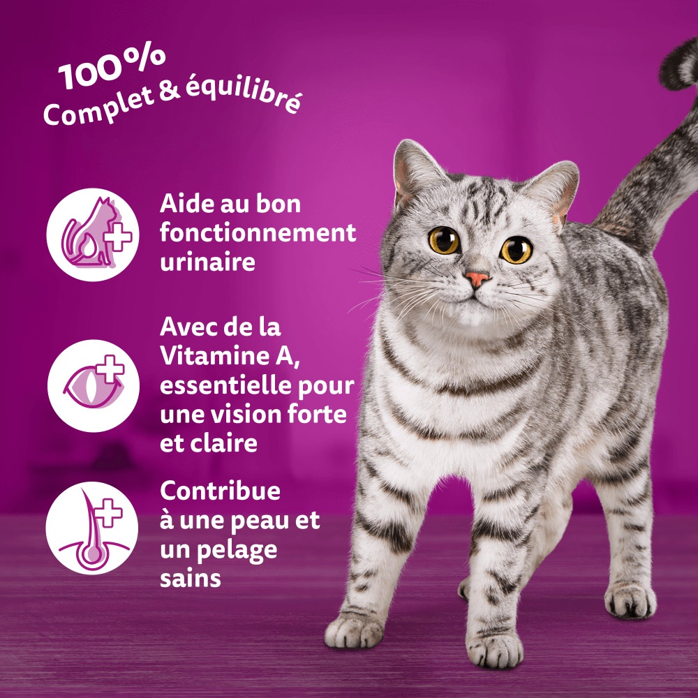 WHISKAS® Croquettes Au Thon Pour Chat Adulte 3,8kg - 4