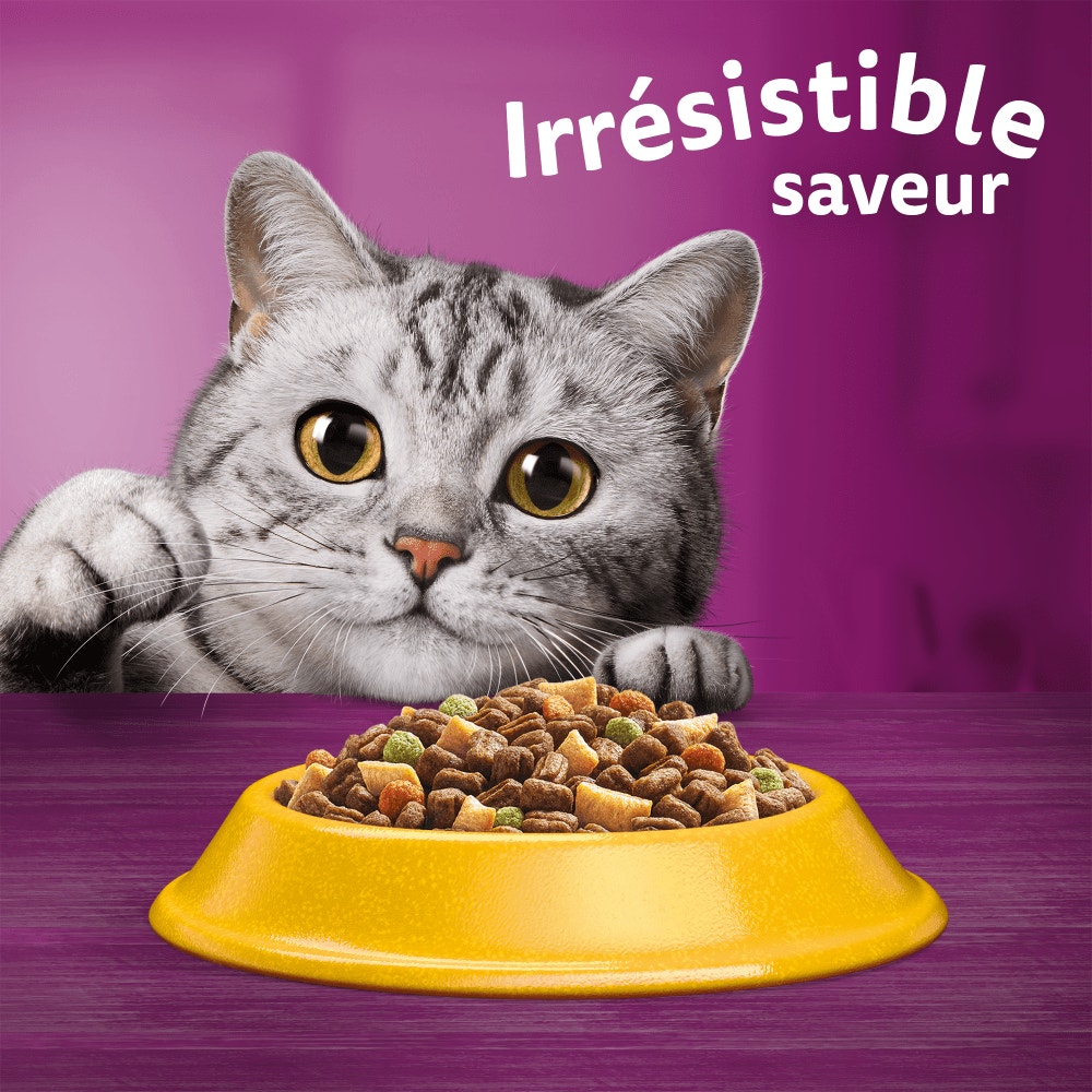 WHISKAS® Croquettes Au Poulet Pour Chat Adulte Stérilisé 1,75kg & 14kg - 6