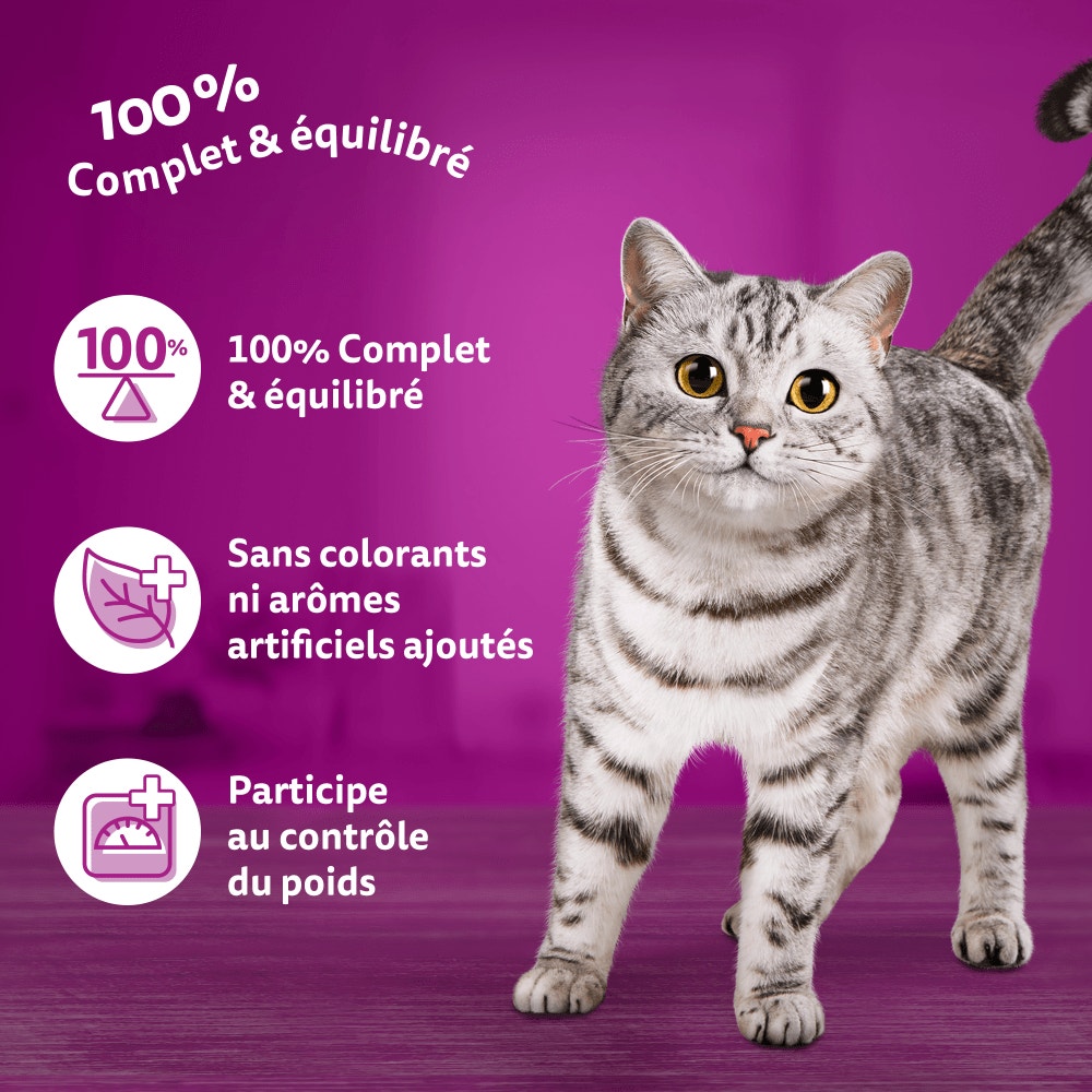 WHISKAS® Croquettes Au Saumon Pour Chat Adulte Stérilisé 1,75kg - 4