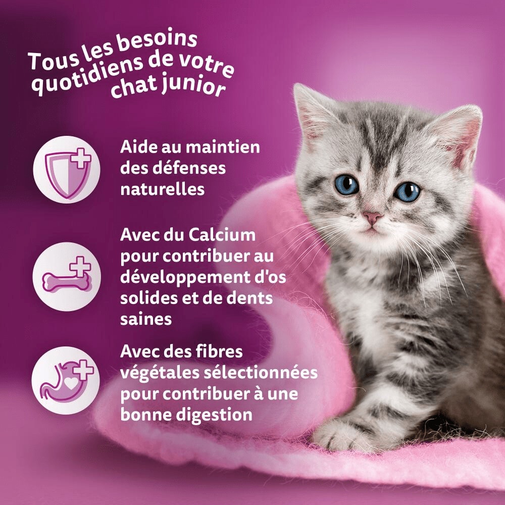 WHISKAS® Junior Croquettes Au Poulet Pour Chaton 1,9kg - 4