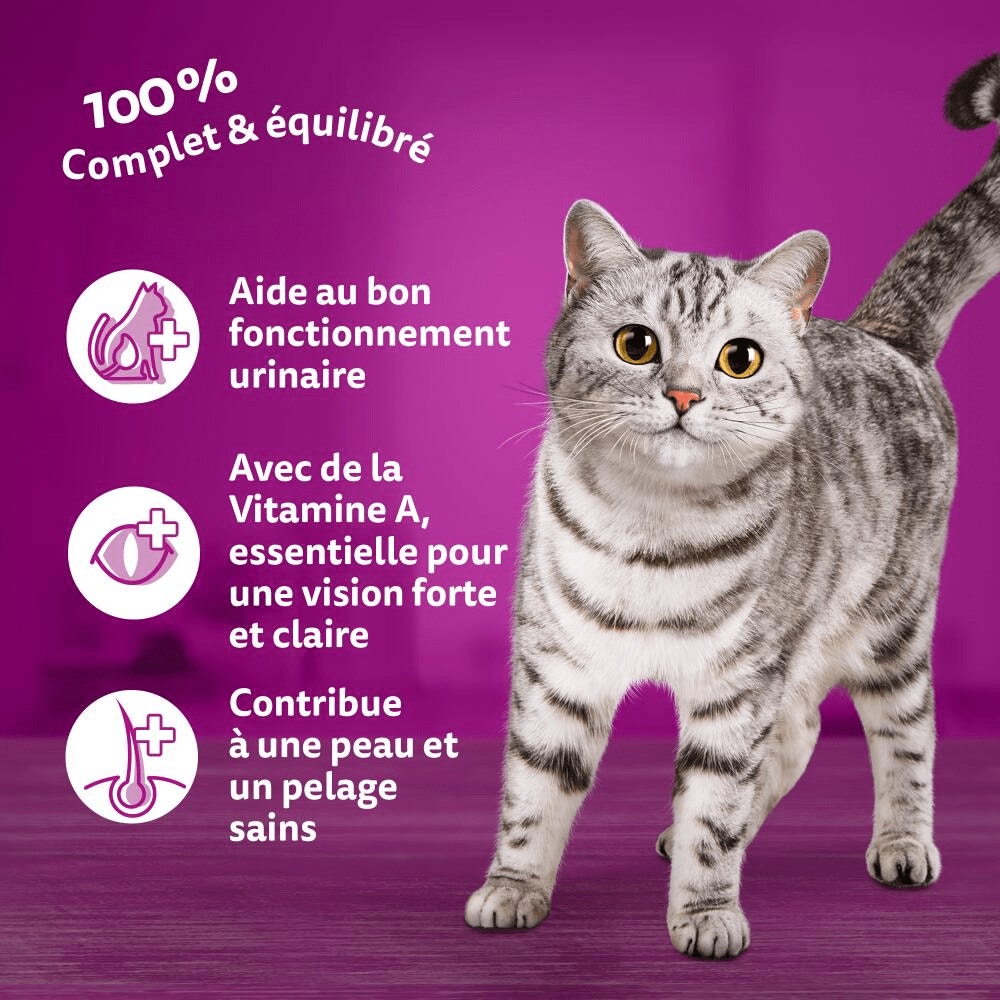 WHISKAS® Croquettes Au Boeuf Pour Chat Adulte 1,9kg & 3,8kg - 4