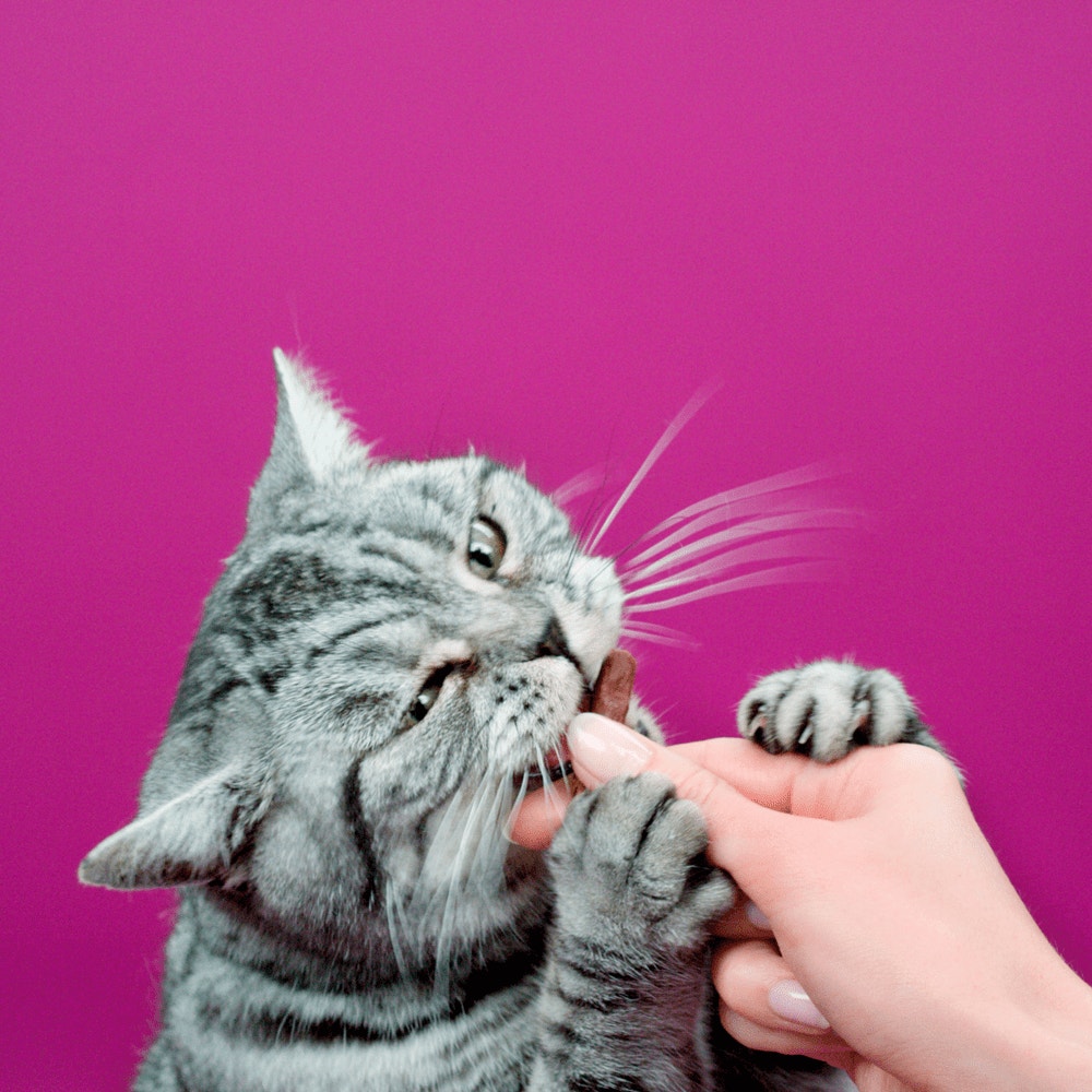 WHISKAS® Sticks Au Saumon Friandises Pour Chat Adulte 3 x 6g - 7