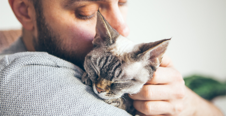 chat-affection-comment-developper-un-lien-avec-son-chat.jpg