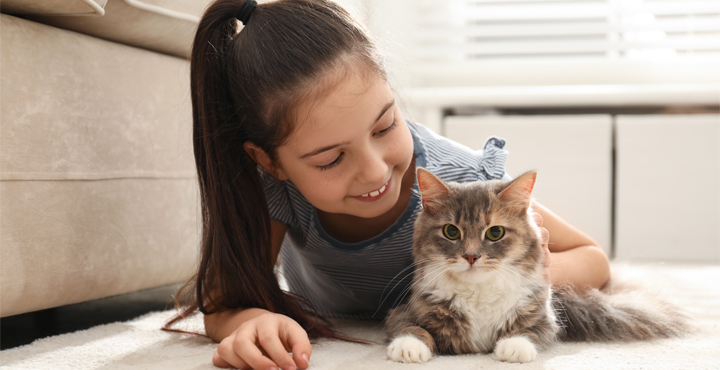 chat-and-enfant-une-cohabitation-reussie.jpg