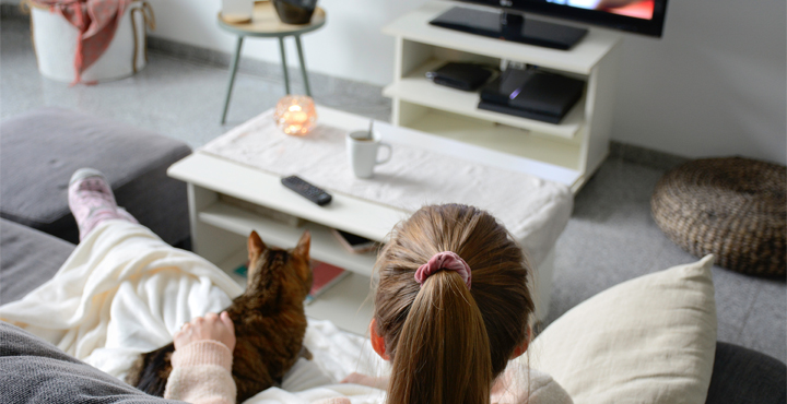 cohabiter-avec-son-chat.jpg