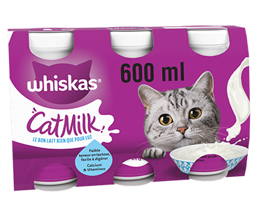 Lait Pour Chat