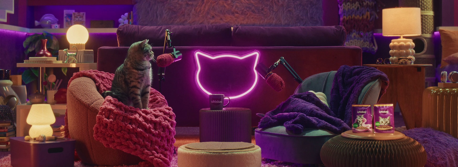 Comment présenter un nouveau chaton à son chat ?