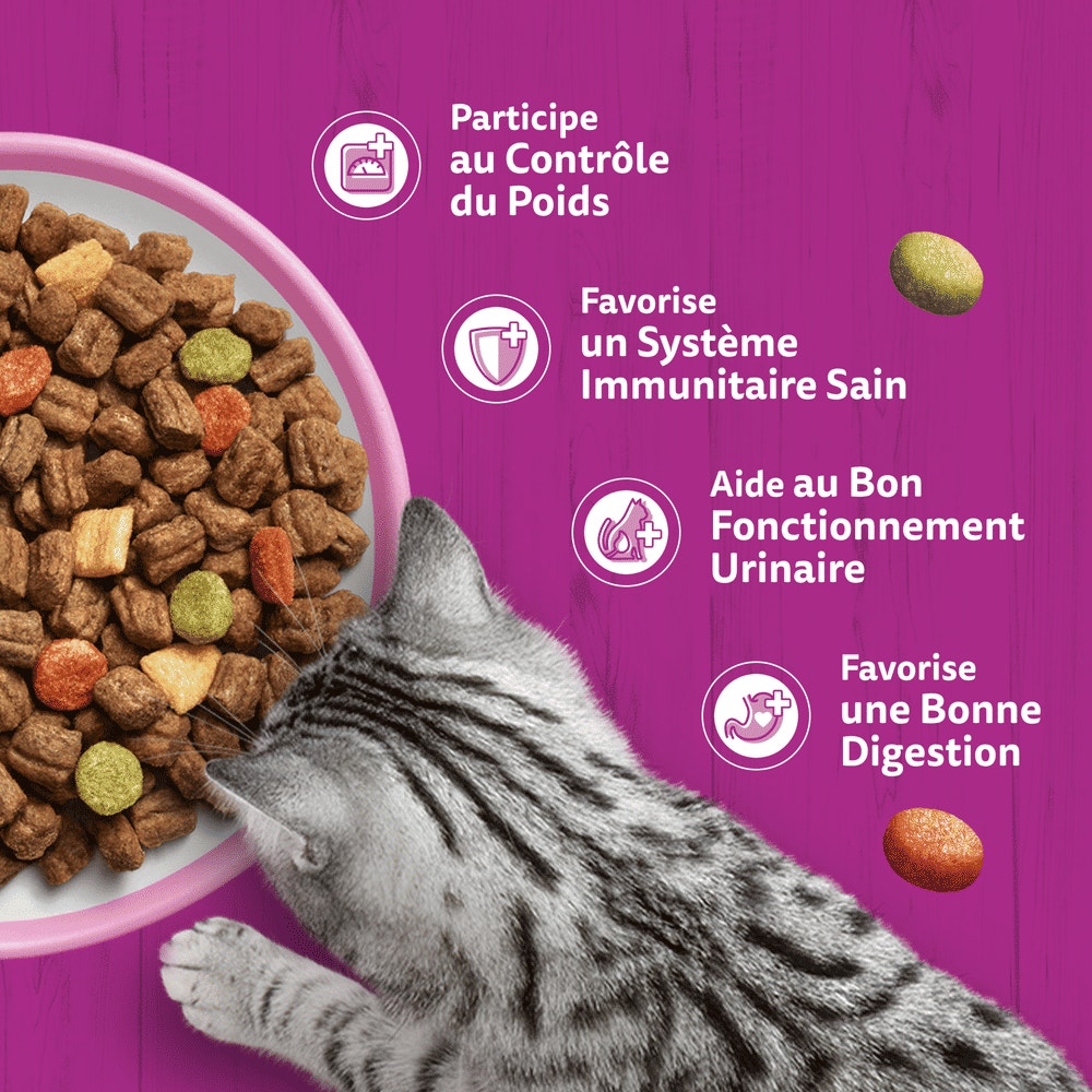 WHISKAS® Croquettes Au Saumon Pour Chat Adulte Stérilisé 1,4kg - 4