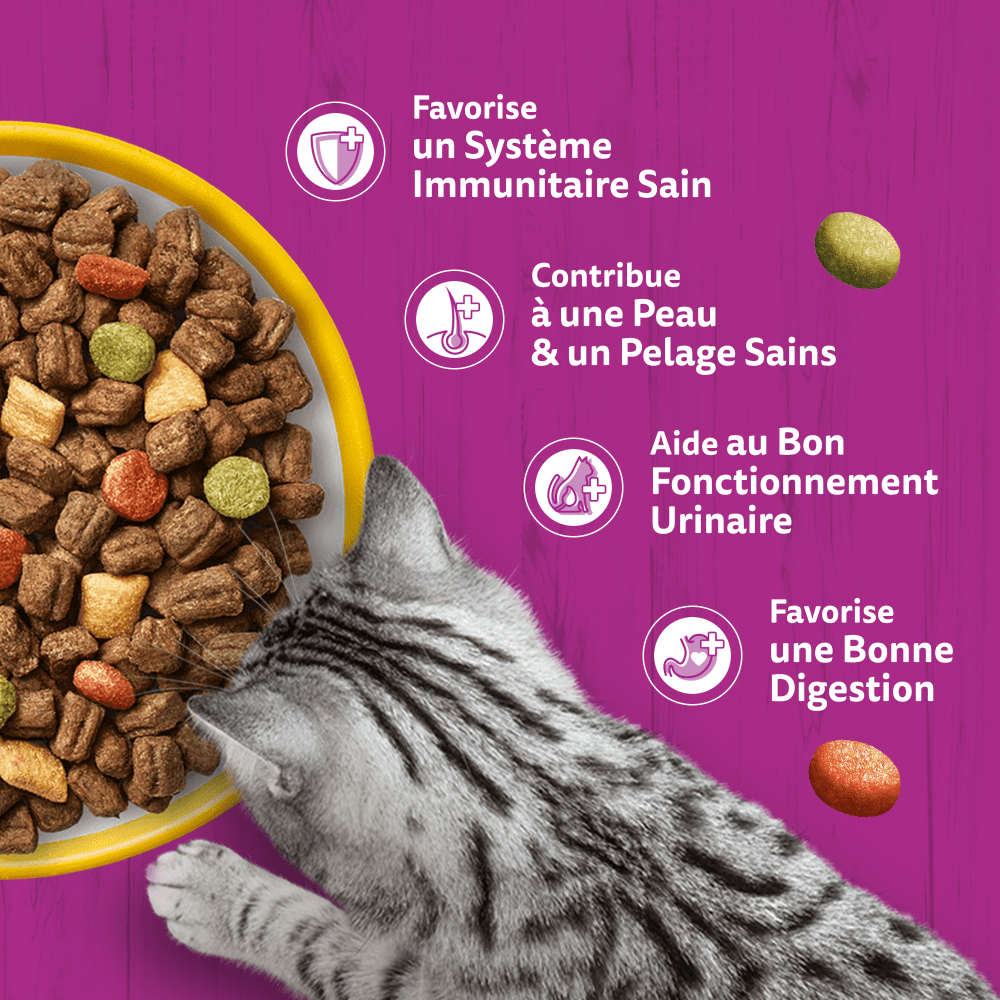 WHISKAS® Junior Croquettes Au Poulet Pour Chaton 1,4kg - 4