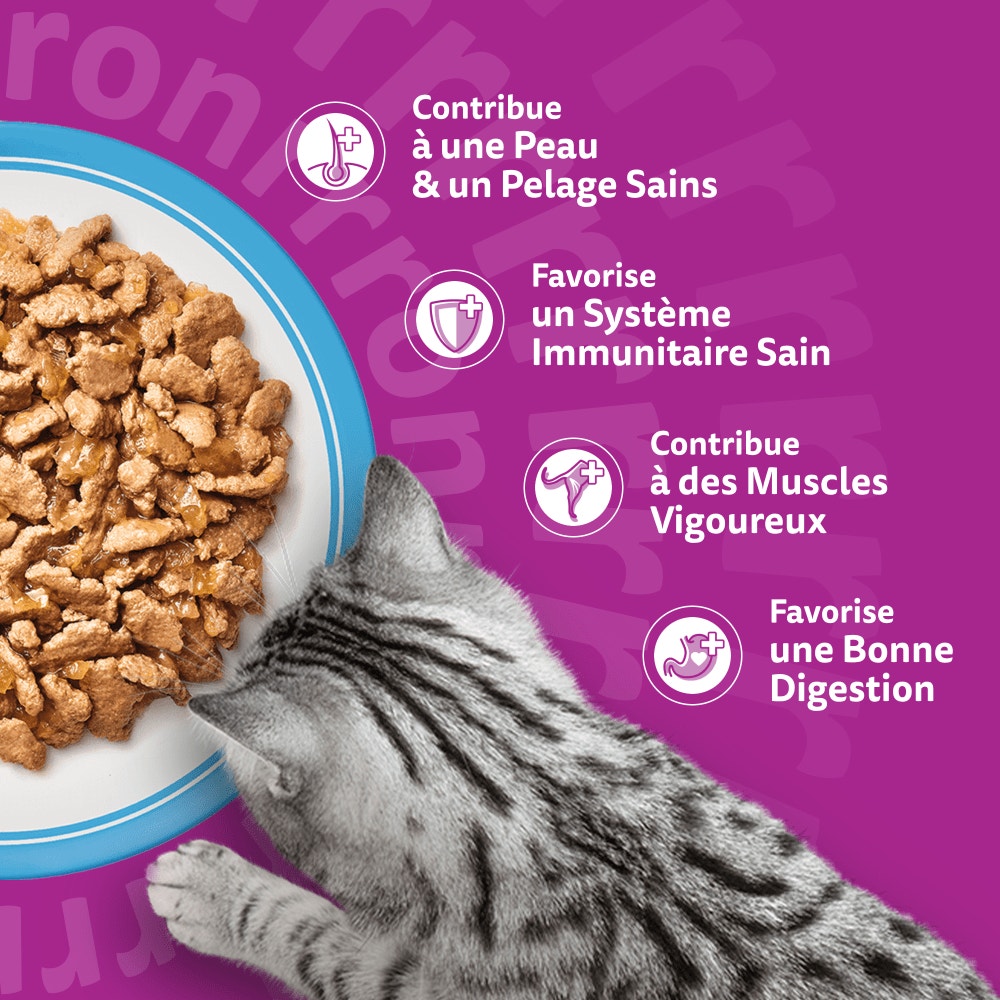 WHISKAS® Sachets Fraîcheur Les Poissons Favoris En Gelée Pour Chat Adulte 4 Variétés 12 & 24 x 85g - 4