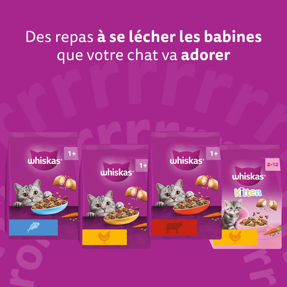 WHISKAS® Croquettes Au Saumon Pour Chat Adulte Stérilisé 1,4kg - 6