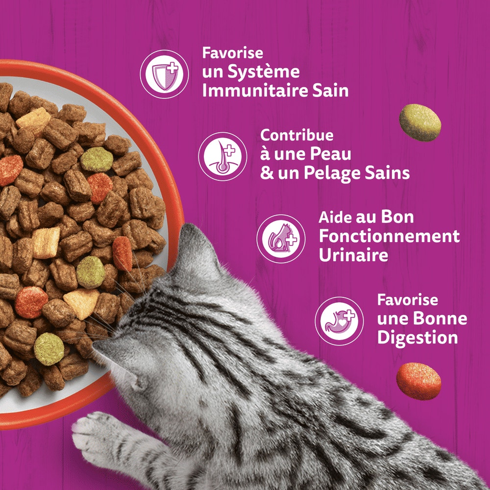 WHISKAS® Croquettes Au Boeuf Pour Chat Adulte 1,4kg & 3,8kg - 4