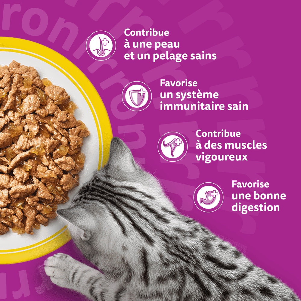 WHISKAS® Sachets Fraîcheur Les Festins À La Volaille En Gelée Pour Chat Adulte 4 Variétés 12 x 85g - 4
