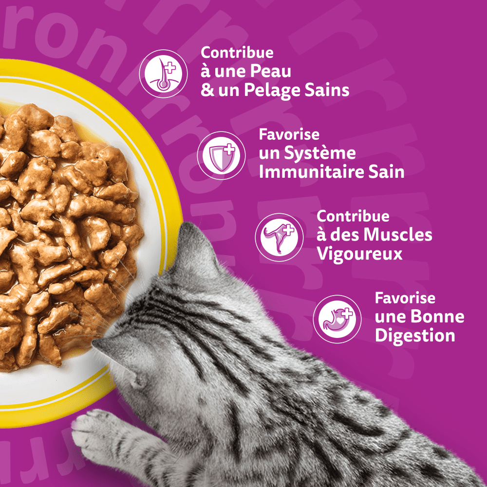 WHISKAS® Sachets Fraîcheur Les Festins À La Volaille En Sauce Pour Chat Adulte 4 Variétés 24 x 85g - 4