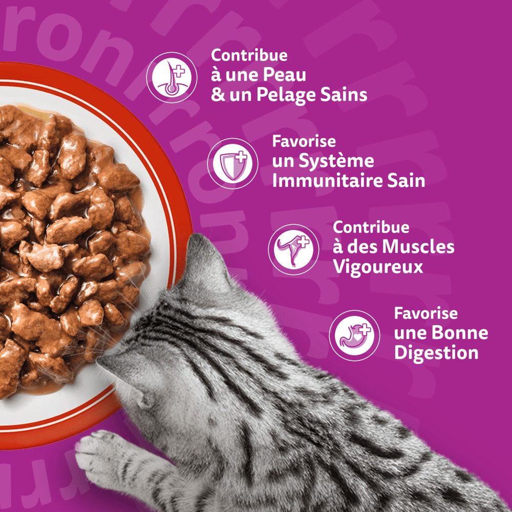 WHISKAS® Sachets Fraîcheur Les Repas Classiques En Sauce Pour Chat Adulte 4 Variétés 12 & 24 & 60 x 85g - 4
