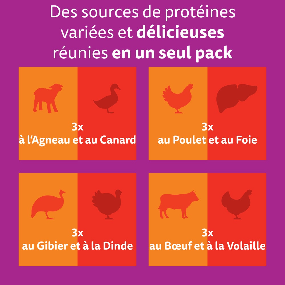 WHISKAS® Duo Sachets Fraîcheur Les Classiques En Gelée Pour Chat Adulte 4 Variétés 12 x 85g - 2