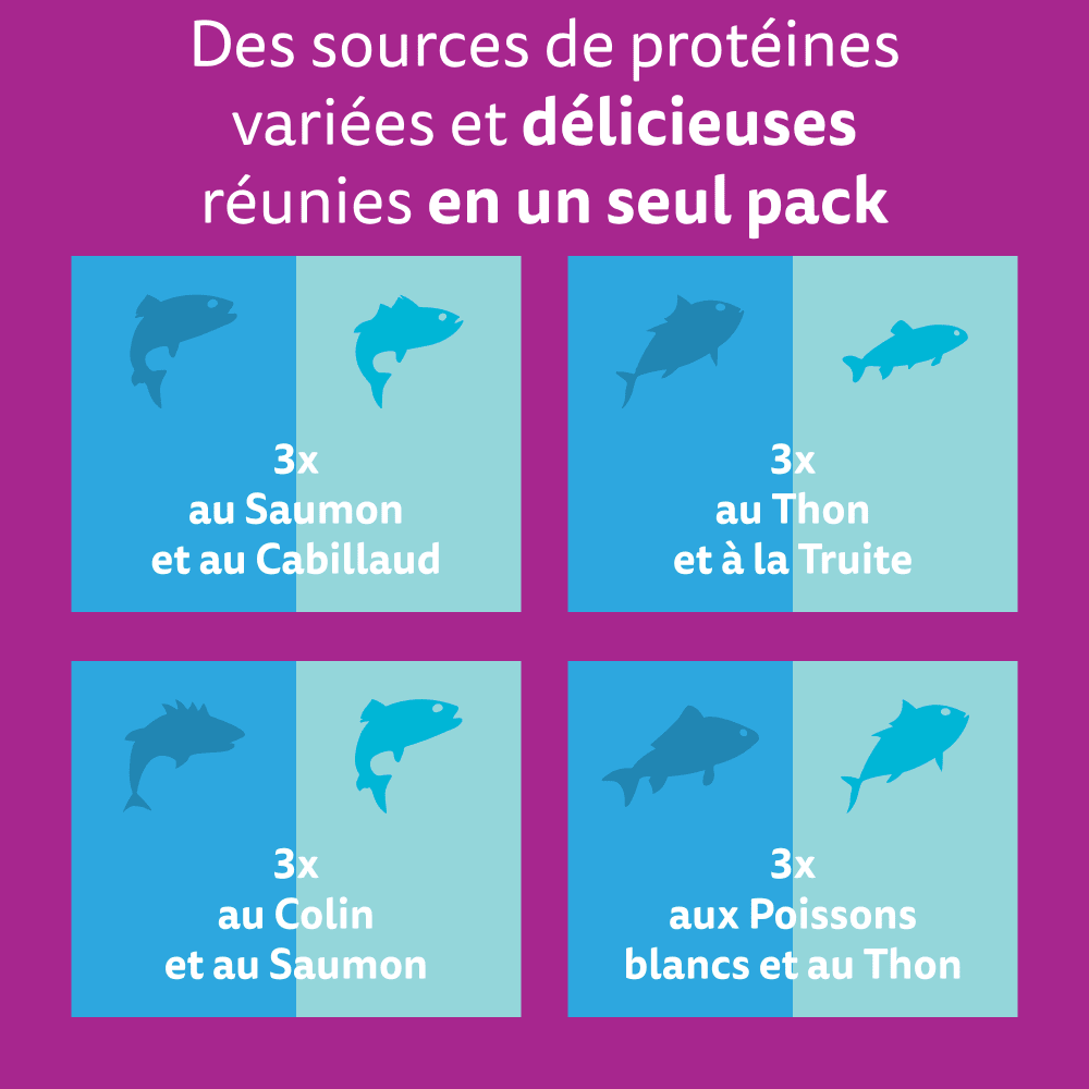 WHISKAS® Duo Sachets Fraîcheur Délices de l'Océan En Gelée Pour Chat Adulte 4 Variétés 12 x 85g - 2