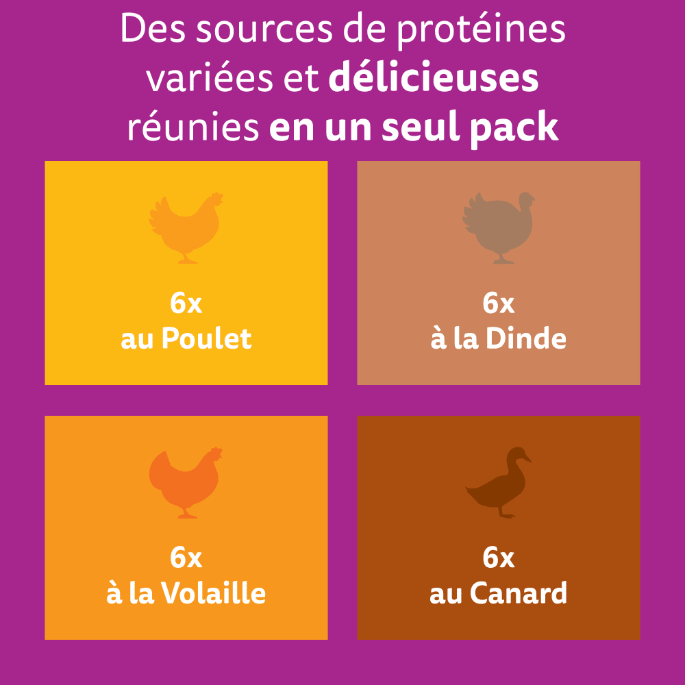 WHISKAS® Sachets Fraîcheur Les Festins À La Volaille En Sauce Pour Chat Adulte 4 Variétés 24 x 85g - 2