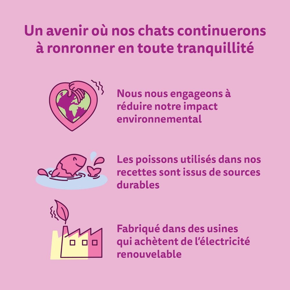 WHISKAS® La Carte Du Pêcheur En Gelée Aux Poissons Pour Chat Adulte 4 Variétés 4 x 390g - 5