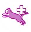Contribue à une bonne agilité - brand imagery