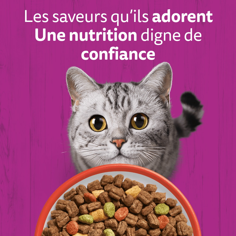WHISKAS® Croquettes Au Boeuf Pour Chat Adulte 1,4kg & 3,8kg - 2
