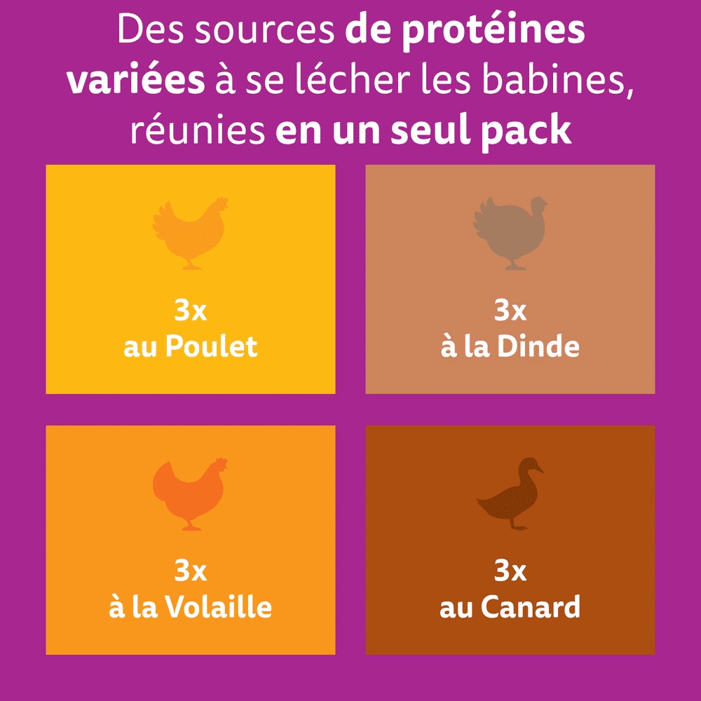 WHISKAS® Sachets Fraîcheur Les Festins À La Volaille En Gelée Pour Chat Adulte 4 Variétés 12 x 85g - 2