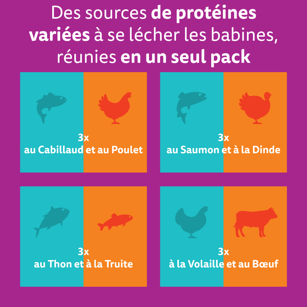 WHISKAS® Duo Sachets Fraîcheur Terre & Mer En Gelée Pour Chat Adulte 4 Variétés 12 x 85g - 2