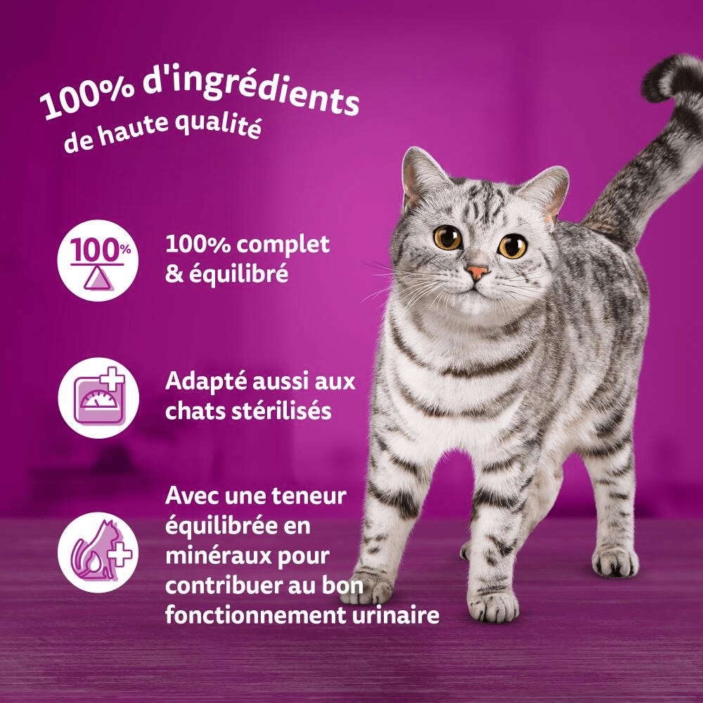 WHISKAS® La Carte Du Pêcheur En Gelée Aux Poissons Pour Chat Adulte 4 Variétés 4 x 390g - 4