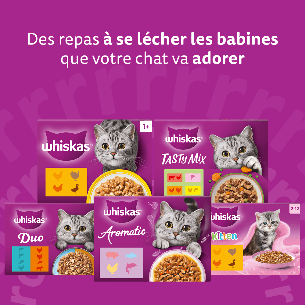 WHISKAS® Sachets Fraîcheur Les Festins À La Volaille En Sauce Pour Chat Senior 4 Variétés 12 x 85g - 7