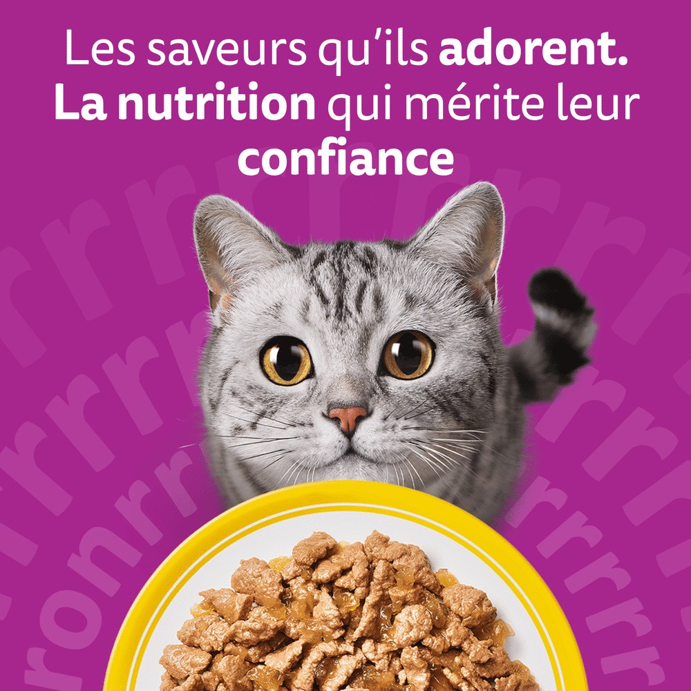 WHISKAS® Sachets Fraîcheur Les Festins À La Volaille En Gelée Pour Chat Adulte 4 Variétés 12 x 85g - 6