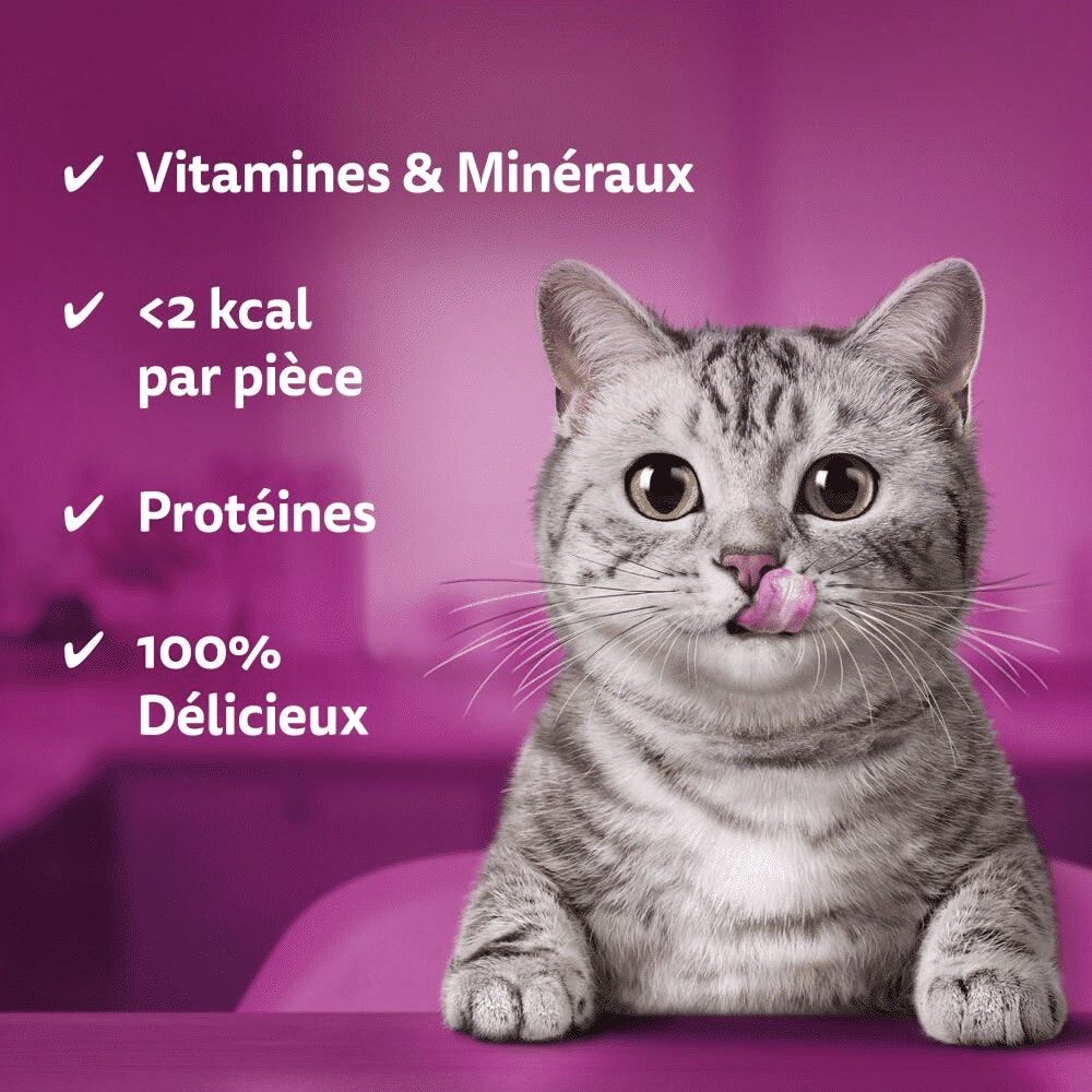 WHISKAS® TEMPTATIONS™ Au Bœuf Friandises Pour Chat Adulte 60g - 3