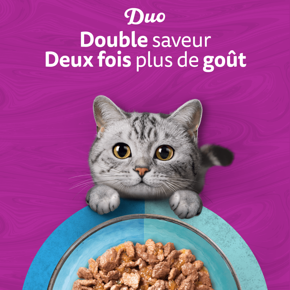 WHISKAS® Duo Sachets Fraîcheur Délices de l'Océan En Gelée Pour Chat Adulte 4 Variétés 12 x 85g - 6
