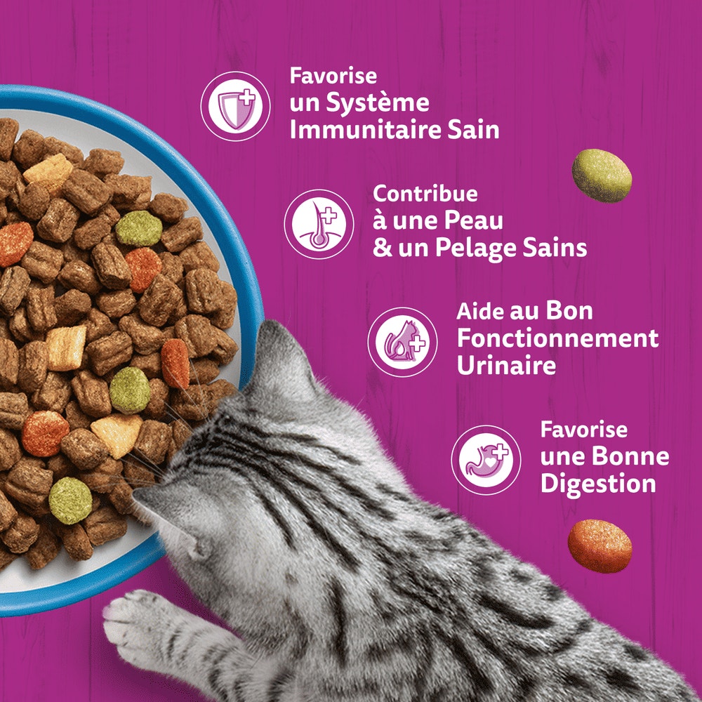 WHISKAS® Croquettes Au Thon Pour Chat Adulte 3,8kg - 4