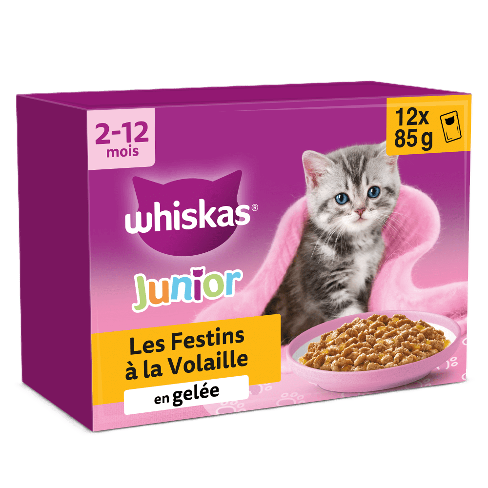 Sachets Fraîcheur Les Festins À La Volaille En Gelée Pour Chaton 4 Variétés