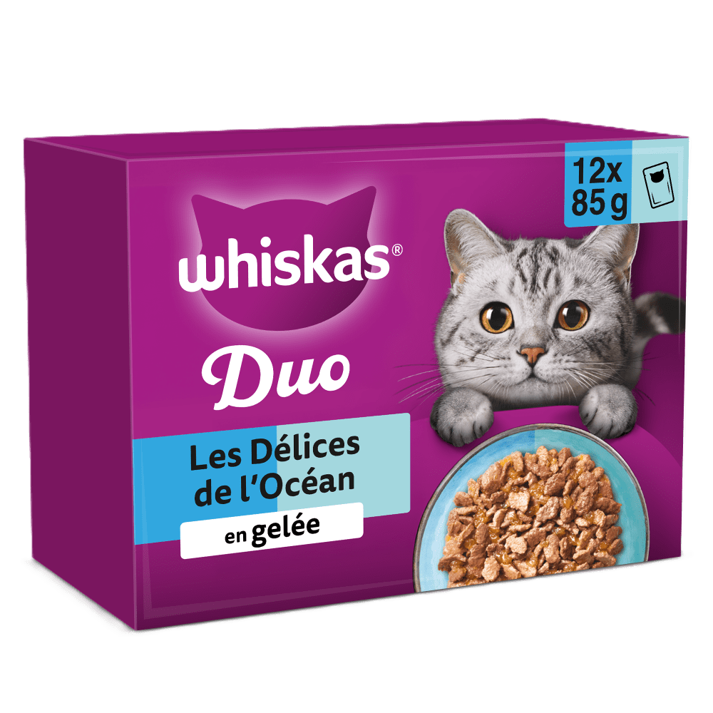 Duo Sachets Fraîcheur Délices de l'Océan En Gelée Pour Chat Adulte 4 Variétés